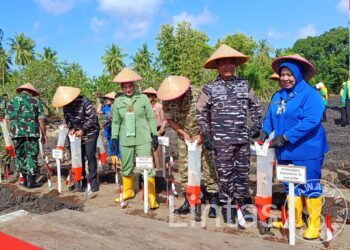 Dukung Ketahanan Pangan Nasional, Pangdam XIV/Hsn Turun Langsung Tanam Kedelai di Selayar