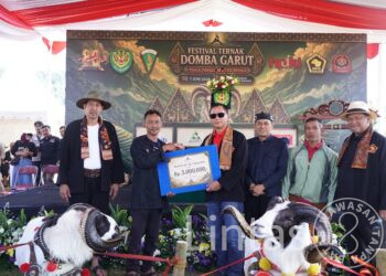 Pangdam III/Siliwangi Dukung Pelestarian Domba Garut Melalui Festival Peternak di Cimahi