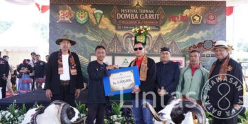 Pangdam III/Siliwangi Dukung Pelestarian Domba Garut Melalui Festival Peternak di Cimahi