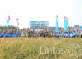 Panen Padi Lanud Halim Perdanakusuma Perkuat Ketahanan Pangan Nasional