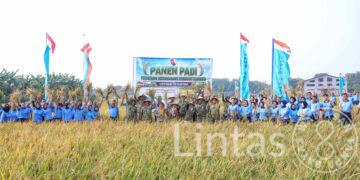Panen Padi Lanud Halim Perdanakusuma Perkuat Ketahanan Pangan Nasional