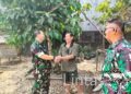 Kebun Sawit Terbakar, Warga Kayan Hilir Rugi Ratusan Juta
