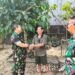Kebun Sawit Terbakar, Warga Kayan Hilir Rugi Ratusan Juta