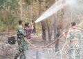 Pangdam XXII/Tambun Bungai Tinjau Langsung Karhutla di Sei Gohong