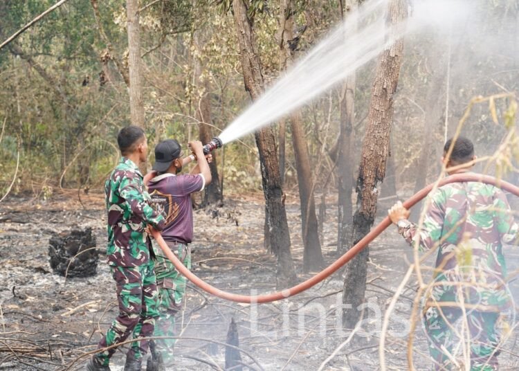 Pangdam XXII/Tambun Bungai Tinjau Langsung Karhutla di Sei Gohong