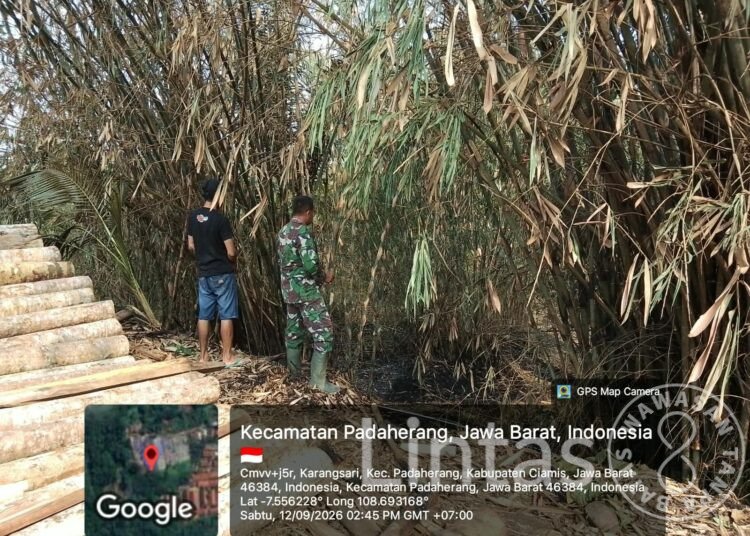 KEBAKARAN LAHAN DI PADAHERANG PANGANDARAN, 1,5 HEKTARE PERKEBUNAN TERBAKAR