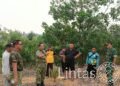 Demplot Satgas Karhutla TNI, Uji Alternatif Pupuk Organik Ladang di Kayan Hilir