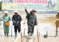 Pangdam XIV/Hasanuddin Turun Sawah, Perkuat Swasembada Pangan di Konawe