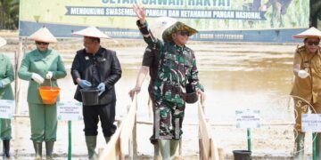 Pangdam XIV/Hasanuddin Turun Sawah, Perkuat Swasembada Pangan di Konawe