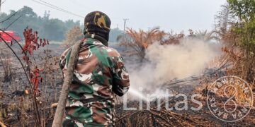 TIM KARHUTLA KODAM XXII/TB PADAMKAN API DI TANJUNG TARUNA, PULANG PISAU