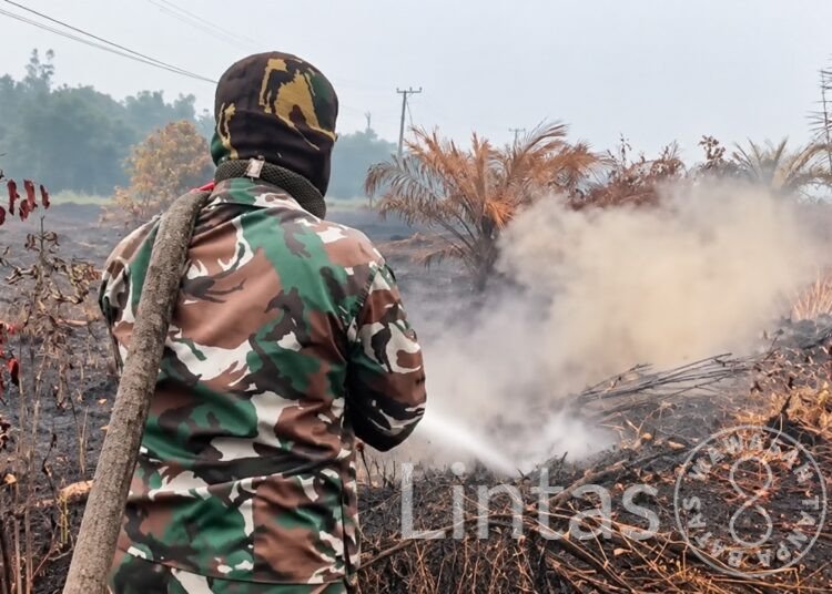 TIM KARHUTLA KODAM XXII/TB PADAMKAN API DI TANJUNG TARUNA, PULANG PISAU