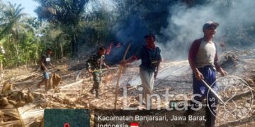 Kebakaran Lahan Seluas 5 Hektare di Banjarsari Ciamis Berhasil Dipadamkan