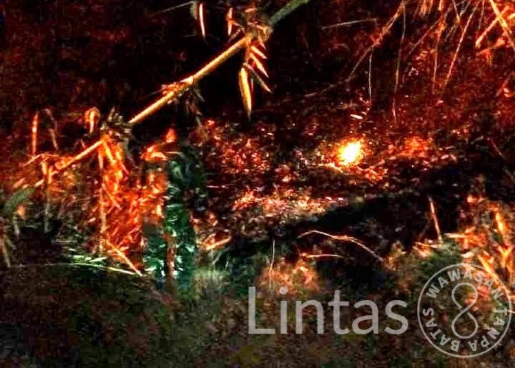 Kebakaran Kebun Bambu di Rancah Kab Ciamis Berhasil Dipadamkan, Tidak Ada Korban Jiwa