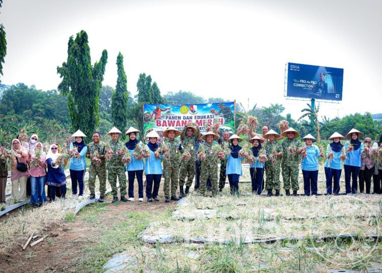 Lanud Halim Perdanakusuma Panen Bawang, Perkuat Sinergi dengan Masyarakat Dukung Ketahanan Pangan