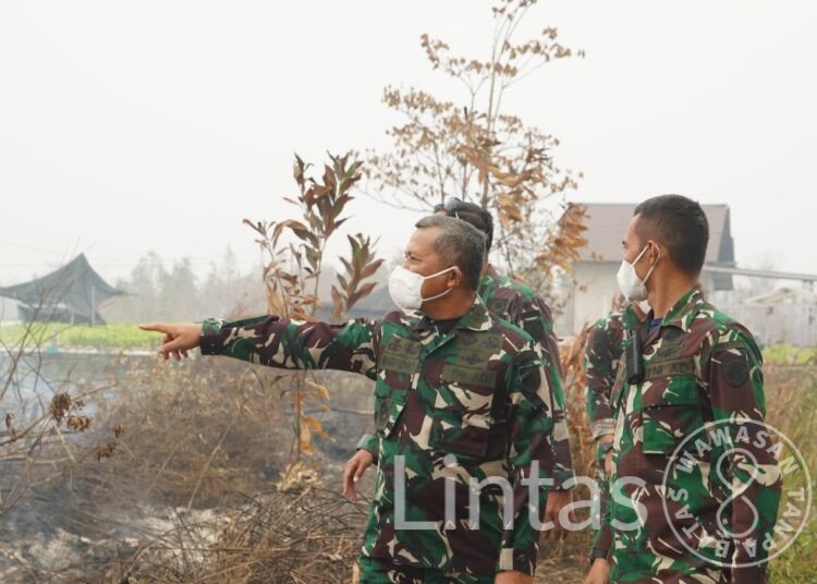 Kasdam XXII/Tambun Bungai Tinjau Penanganan Karhutla di Palangka Raya