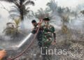 Satgas Karhutla Kodam XXII/TB Terus Lakukan Pendinginan di Palangka Raya