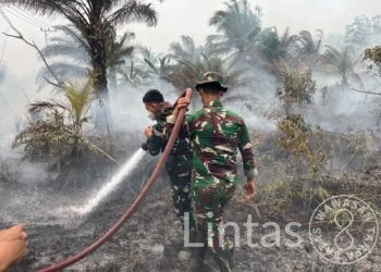 Satgas Karhutla Kodam XXII/TB Terus Lakukan Pendinginan di Palangka Raya