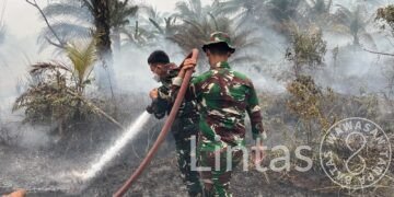 Satgas Karhutla Kodam XXII/TB Terus Lakukan Pendinginan di Palangka Raya
