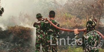 Kodam XXII/Tambun Bungai Kerahkan Tim Damkar 56 Yonif TP 831/Panunjung Tarung Padamkan Titik Api Baru di Kalampangan