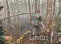 Kodam XXII/Tambun Bungai Terus Berjuang Padamkan dan Lindungi Taman Nasional Tanjung Puting