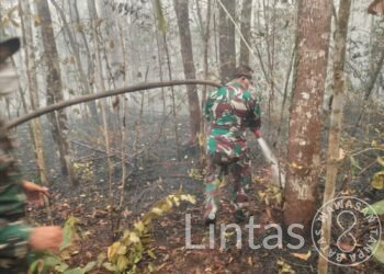 Kodam XXII/Tambun Bungai Terus Berjuang Padamkan dan Lindungi Taman Nasional Tanjung Puting