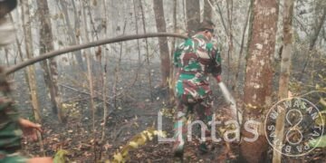 Kodam XXII/Tambun Bungai Terus Berjuang Padamkan dan Lindungi Taman Nasional Tanjung Puting