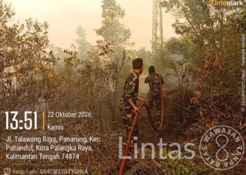 Atas Perintah Pangdam XXII/TB, Tim Damkar 45 Padamkan Karhutla di Talawang Raya