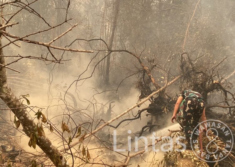 PERINTAH TEGAS PANGDAM XXII/TB: JANGAN KASIH KENDOR, TIM 1 DAMKAR 48 TERJUN PADAMKAN KARHUTLA DI BLACK BEACH KM 21
