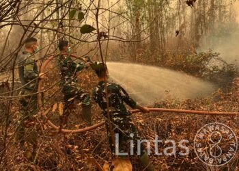 Satgas Karhutla Kodam XXII/TB Lakukan Pemadaman dan Pendinginan di Pulang Pisau